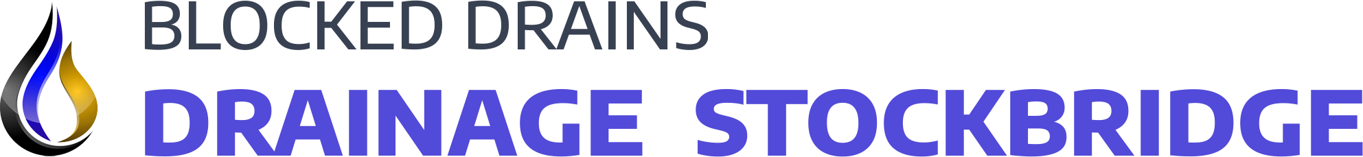 website logo